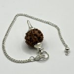 Pendolo con Seme di Rudraksha