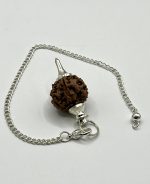 Pendolo con Seme di Rudraksha
