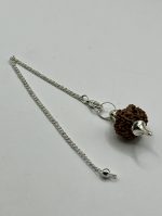 Pendolo con Seme di Rudraksha - immagine 2