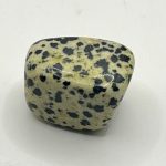 Diaspro Dalmata Burattato 🐾