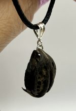🦁 Ciondolo Artiglio di Leone in Argento – Forza, Coraggio e Protezione